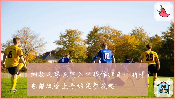细数足球竞猜入口操作指南，新手也能极速上手的完整攻略