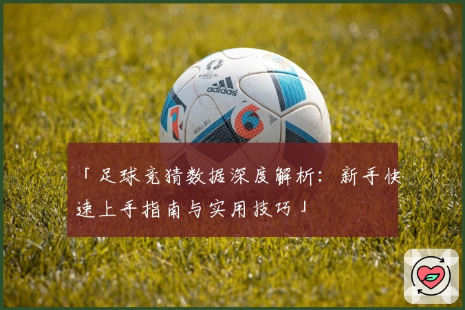 「足球竞猜数据深度解析：新手快速上手指南与实用技巧」